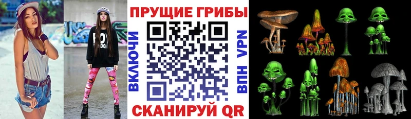 mega как войти  где продают наркотики  Кудымкар  Галлюциногенные грибы прущие грибы 