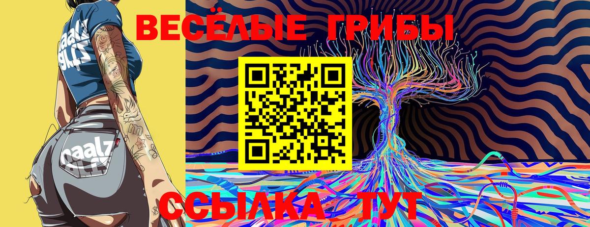 Псилоцибиновые грибы Cubensis Кудымкар